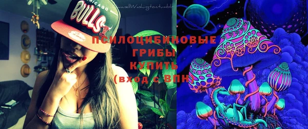 стаф Бородино