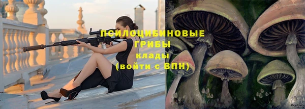 марки lsd Медногорск