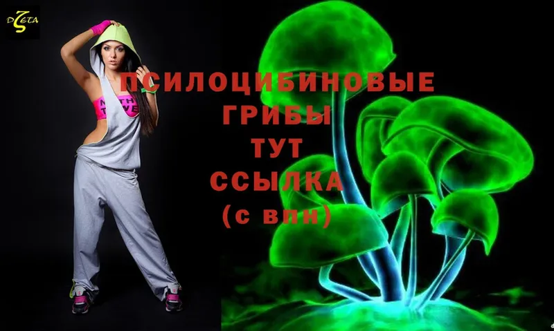 сколько стоит  Салават  Галлюциногенные грибы Psilocybine cubensis 