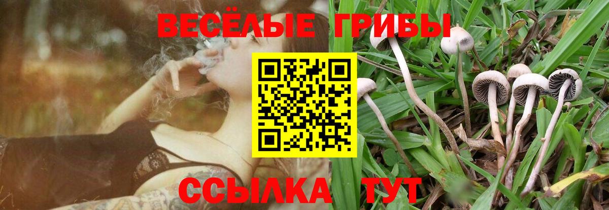 Псилоцибиновые грибы MAGIC MUSHROOMS  где найти наркотики  Салават 