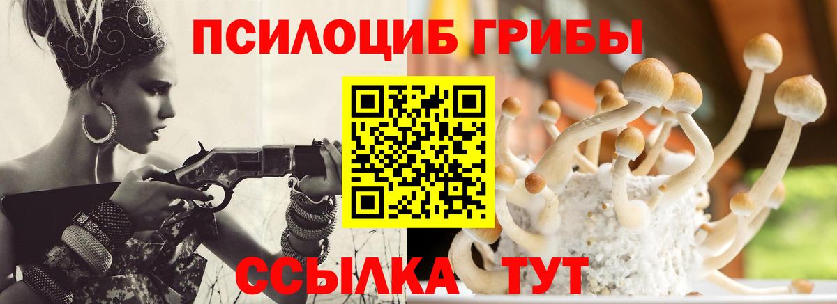 Галлюциногенные грибы прущие грибы Салават